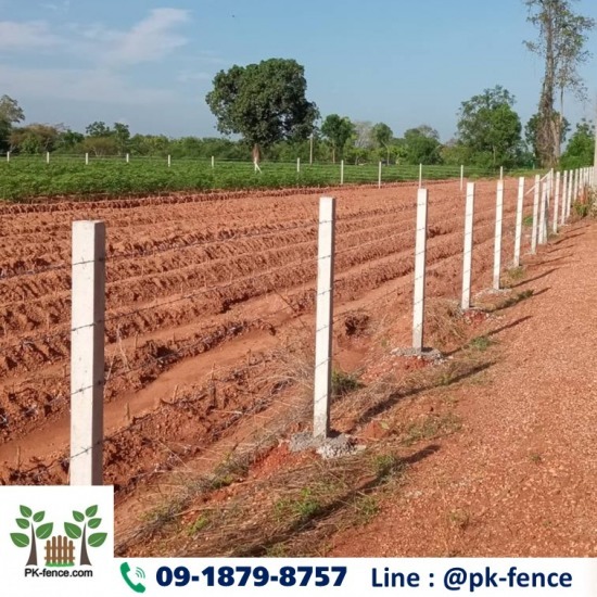 ล้อมรั้วลวดหนาม สุพรรณบุรี - รับล้อมรั้วลวดหนาม พีเค-เฟนซ์